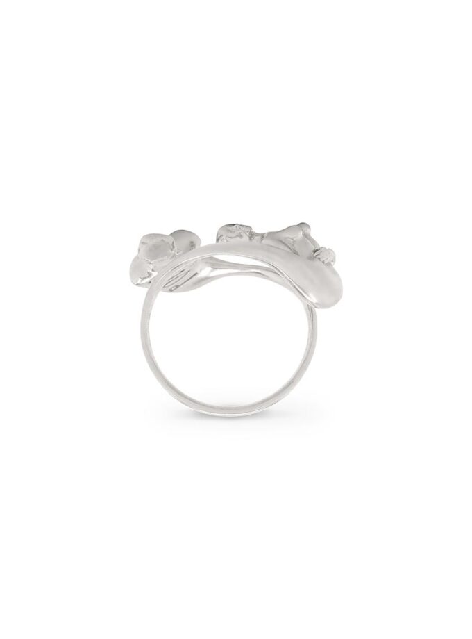 Anel Configuration - Silver