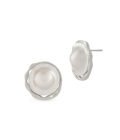 Brincos Torse - Silver